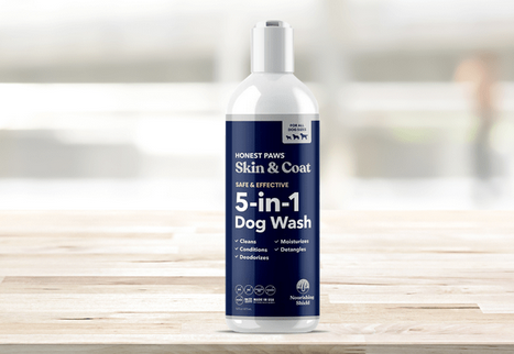 The Ideal Way to take pleasure from Canine shampoo or conditioner post thumbnail image